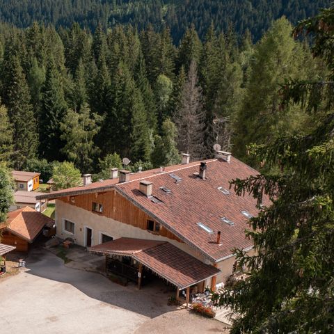 Club del Sole Val di Fiemme Easy Camping Village - Camping Trento - Image N°5