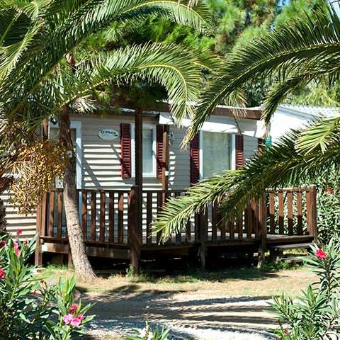MOBILE HOME 6 people - 3 bedrooms (C7)