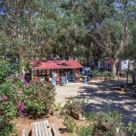 Camping U pezzo - Northern Corsica - Image N°2