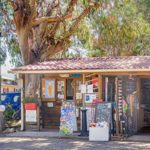 Camping U pezzo - Northern Corsica - Image N°5