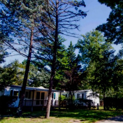 Mobile home 5 persons - 2 bedrooms CONFORT