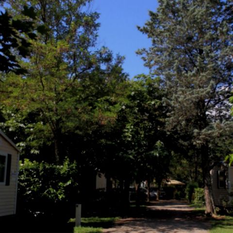 Mobile home 4 persons - 2 CH. CONFORT +