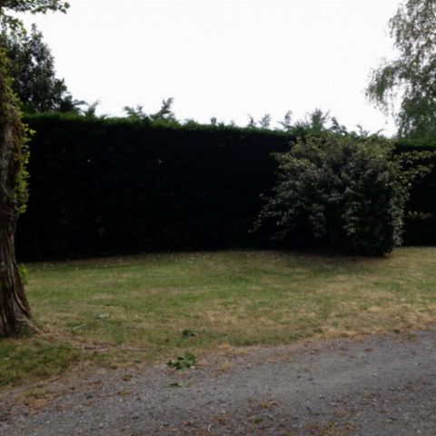 Pitch - Location