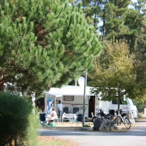 Pitch - Comfort package (1 tent, caravan or motor home / 1 car / 10A electricity)