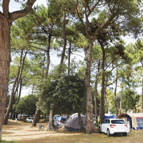 Pitch - Comfort package (1 tent, caravan or motor home / 1 car / 10A electricity)