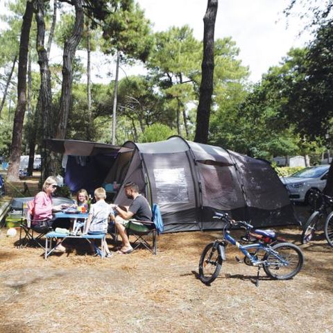 Pitch - Comfort package (1 tent, caravan or motor home / 1 car / 10A electricity)
