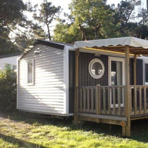 MOBILE HOME 6 people - COMFORT PLUS 31m² (31m²)