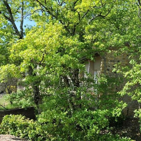 COUNTRY HOUSE 6 people - Bungalow 6 with view - 1 bedroom + 1 bedroom cabin + terrace + Air conditioning + TV - 40m² - France