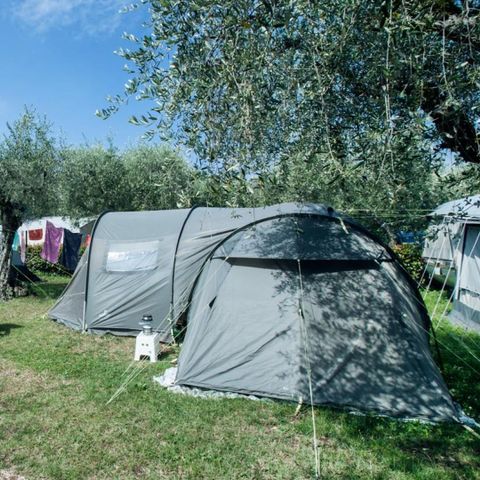Pitch - Standard pitch - 60m² - 4 AMP