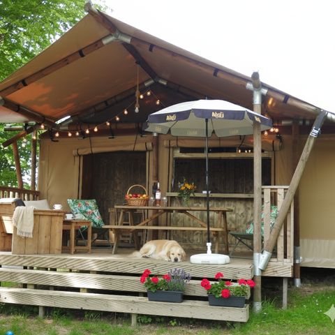 CANVAS AND WOOD TENT 5 people - LUXURY SAFARI LODGE