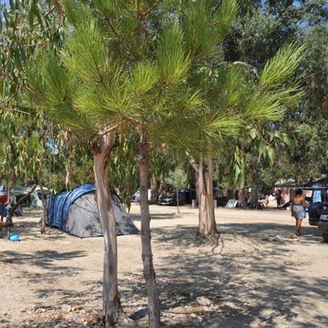 Camping Des Nacres - Camping Northern Corsica - Image N°3