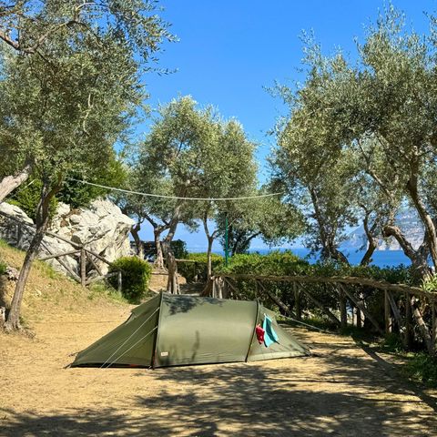 Pitch - Small Tent