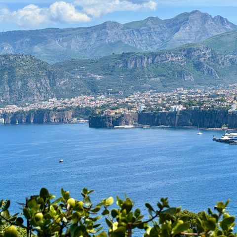 Pitch - "TOP PLATZ" Sea View
