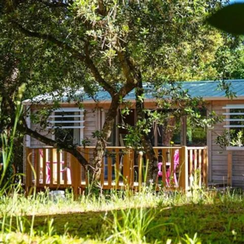 MOBILE HOME 4 people - PREMIUM