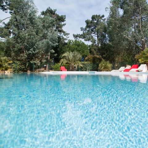 Nicoll’s Camp/Pins - Gironde - Image N°2