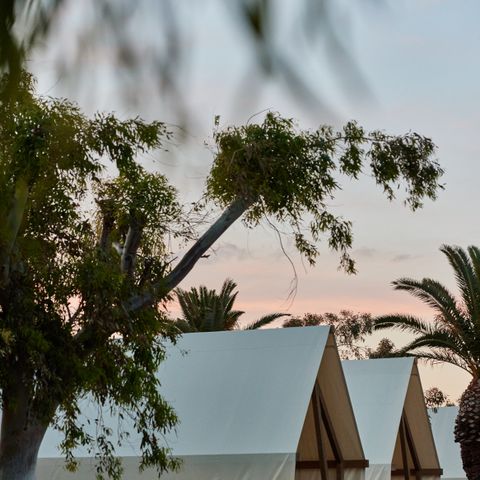 CANVAS AND WOOD TENT 2 people - Glamping Cabin-Tent Senyoret