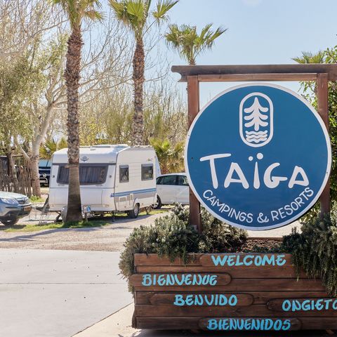 TAIGA Delta de L'Ebre - Tarragona - Image N°4