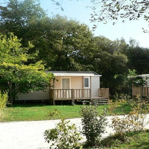MOBILE HOME 6 people - Confort+ 3 Rooms 4/6 Persons