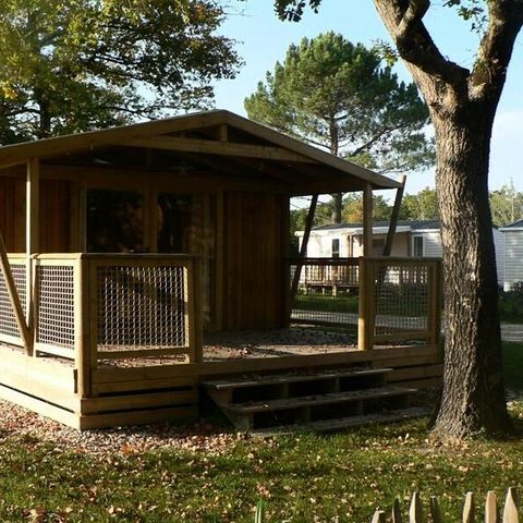 CHALET 6 people - Premium Lodge 3 Rooms 4/6 Persons + TV