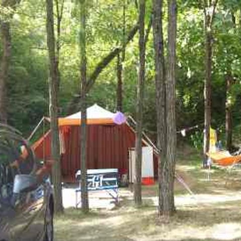 Pitch