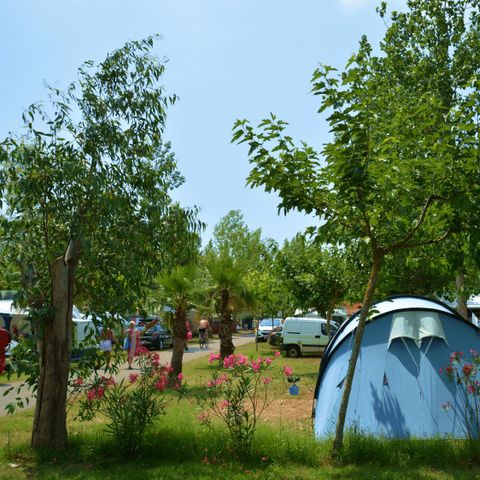 Pitch - 6A