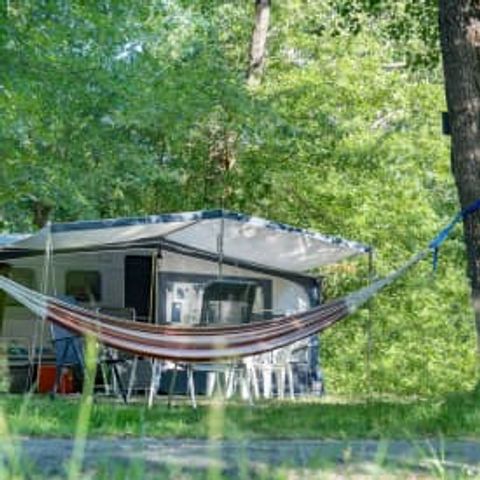Pitch - Location ***