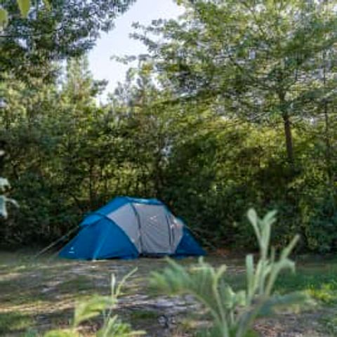 Pitch - Location Nature