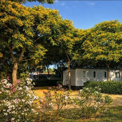 Mobile home 6 persons - MH PREMIUM 2
