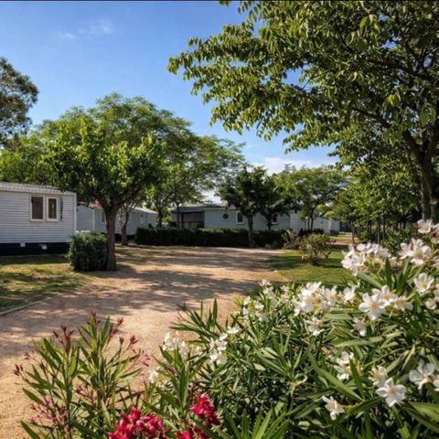 MOBILE HOME 6 people - MH PREMIUM 2