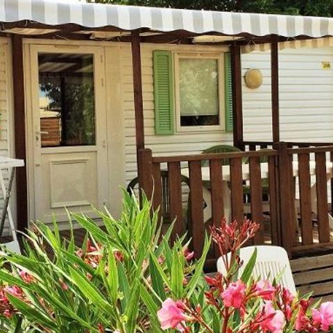 MOBILE HOME 4 people - CONFORT SAFARI (covered terrace)