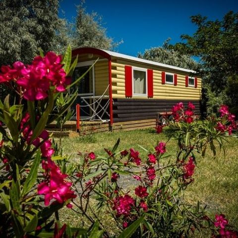 UNUSUAL ACCOMMODATION 4 people - Roulotte 1 Chambre 4 Personnes non sanitarisée