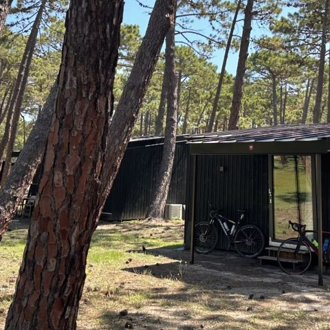 BUNGALOW 4 people - PINEDE 2/4 PERSONS