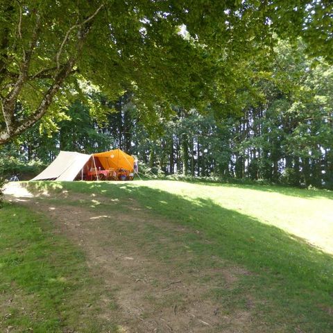 TENT 6 people - Large De Waard tent - without sanitary facilities