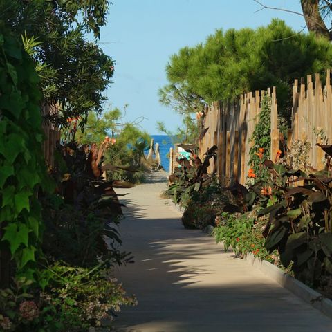 Camping San Damiano - Northern Corsica - Image N°6