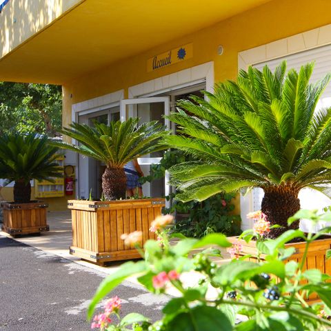 Camping International - Var - Image N°4