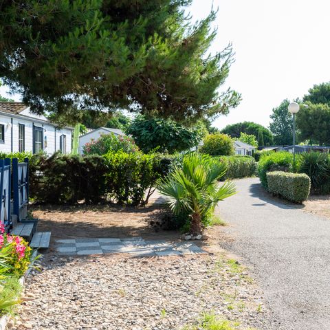 Domaine Les Mûriers - Camping Hérault - Image N°6