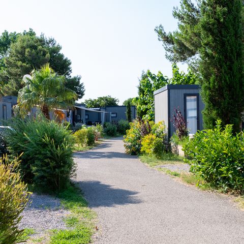 Domaine Les Mûriers - Camping Hérault - Image N°4