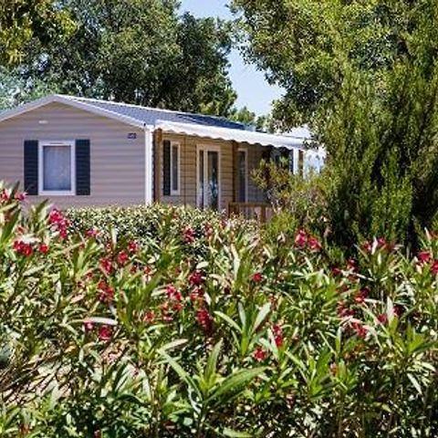 Mobile home 4 persons - Cottage B - 2 bedrooms - sleeps 4