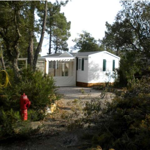 Mobile home 6 persons - Cottage C - 3 bedrooms - sleeps 6