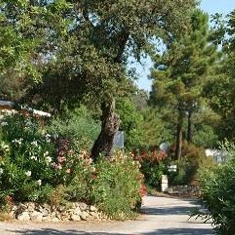 Mobile home 4 persons - Privilège A - 2 bedrooms - sleeps 4