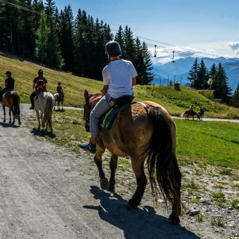 Camping Sainte Victoire - Bouches-du-Rhône - Image N°6