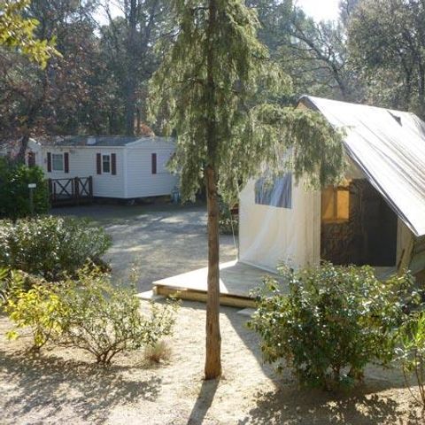CANVAS AND WOOD TENT 4 people - Junior Tent 21 m² (without sanitary facilities) - 2 bedrooms