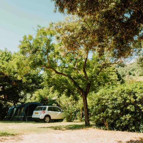 Routes du Monde - Camping Val Fleuri - Alpes-Maritimes - Image N°5