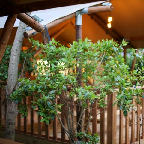 CANVAS AND WOOD TENT 4 people - Lodge Safari 27 m²