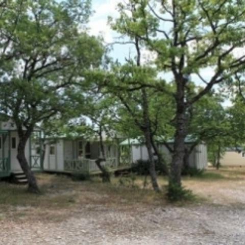 Flower Camping l'Epi Bleu - Alpes-de-Haute-Provence - Image N°2