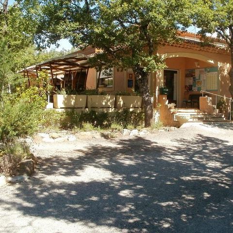 Flower Camping l'Epi Bleu - Alpes-de-Haute-Provence - Image N°3