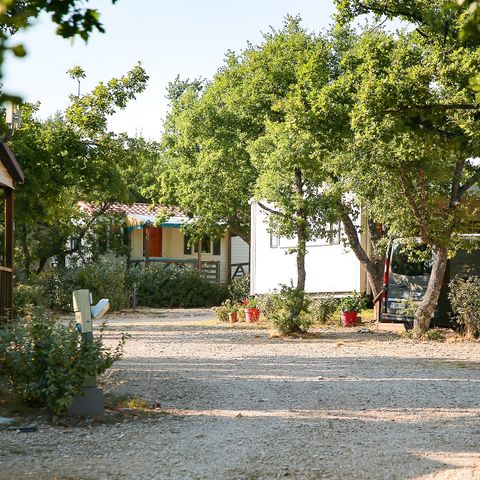 Flower Camping l'Epi Bleu - Alpes-de-Haute-Provence - Image N°6