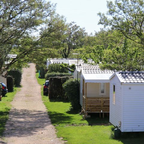Camping Carrefour De L'Ardèche - Ardèche - Image N°6