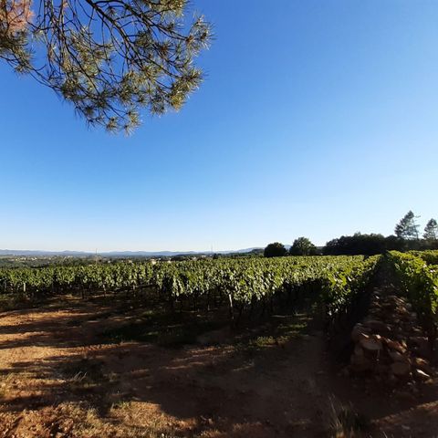 Camping Du Vignal - Ardèche - Image N°6