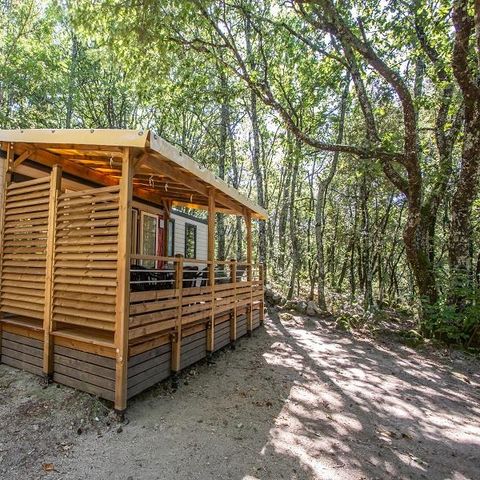 MOBILE HOME 6 people - Cottage Premium Chanterelle Trio 3 bdrm. Forest - TV - Dishwasher - Wifi